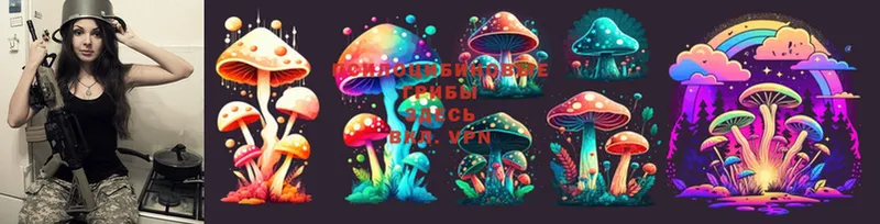 blacksprut   Рыльск  Псилоцибиновые грибы MAGIC MUSHROOMS 